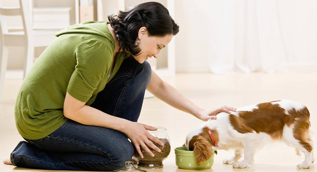 Pet Food Formulation:  Three Trends for Formulators to Consider